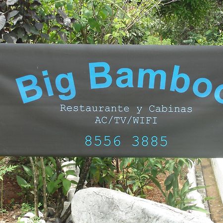 Big Bamboo De Увіта Екстер'єр фото